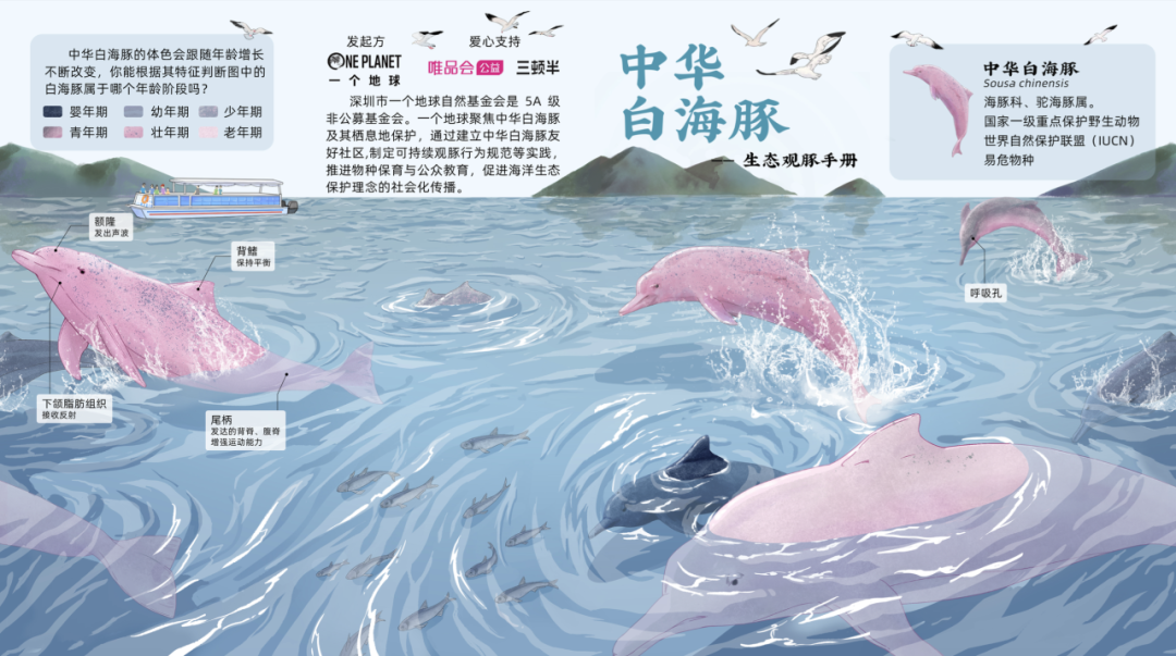 广告人干货库 一个地球 x 晒梦丨和朱一龙一起,护海“一线”!-广告人干货库