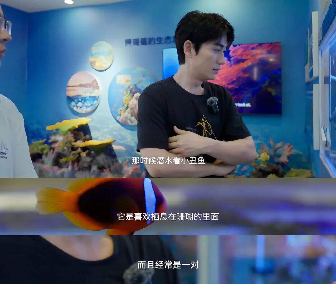 广告人干货库 一个地球 x 晒梦丨和朱一龙一起,护海“一线”!-广告人干货库