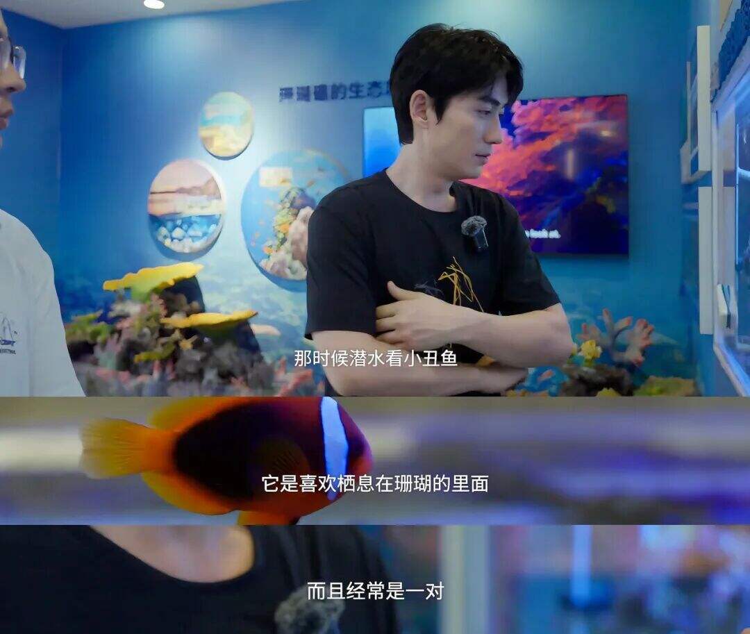 广告人干货库
