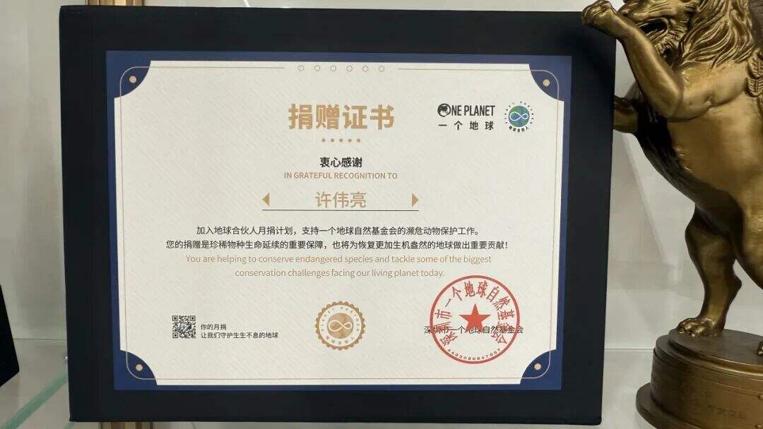 广告人干货库 一个地球 x 晒梦丨和朱一龙一起,护海“一线”!-广告人干货库