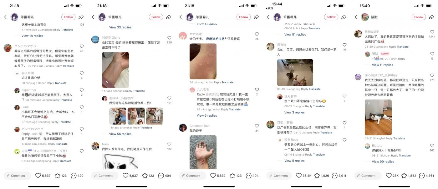 广告人干货库 天猫:一套“反领养”的宠物公益广告-广告人干货库