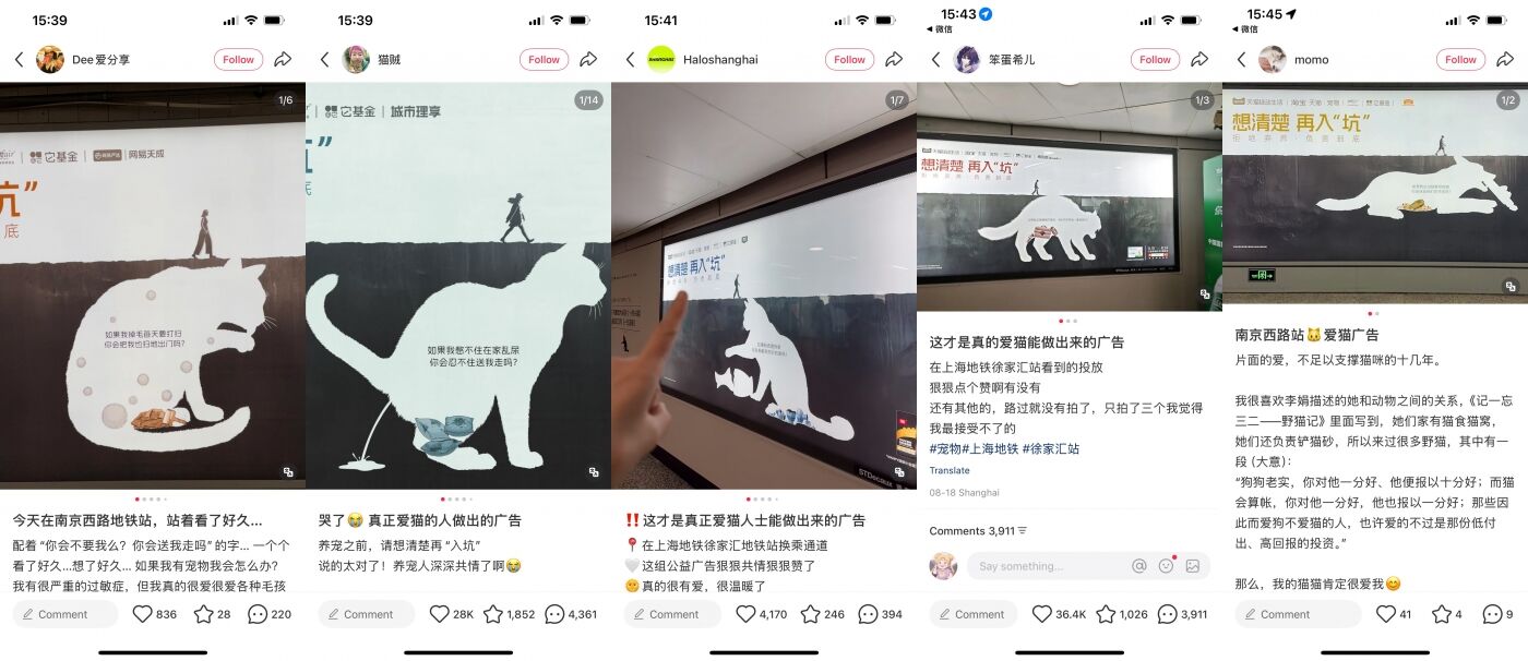 广告人干货库 天猫:一套“反领养”的宠物公益广告-广告人干货库