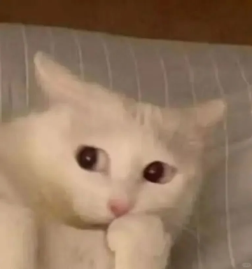 广告人干货库