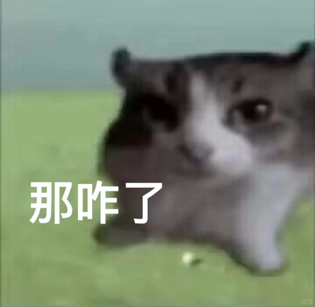 广告人干货库 媒介的日常就是受气:达人给的返点截图,竟然是ps的…-广告人干货库