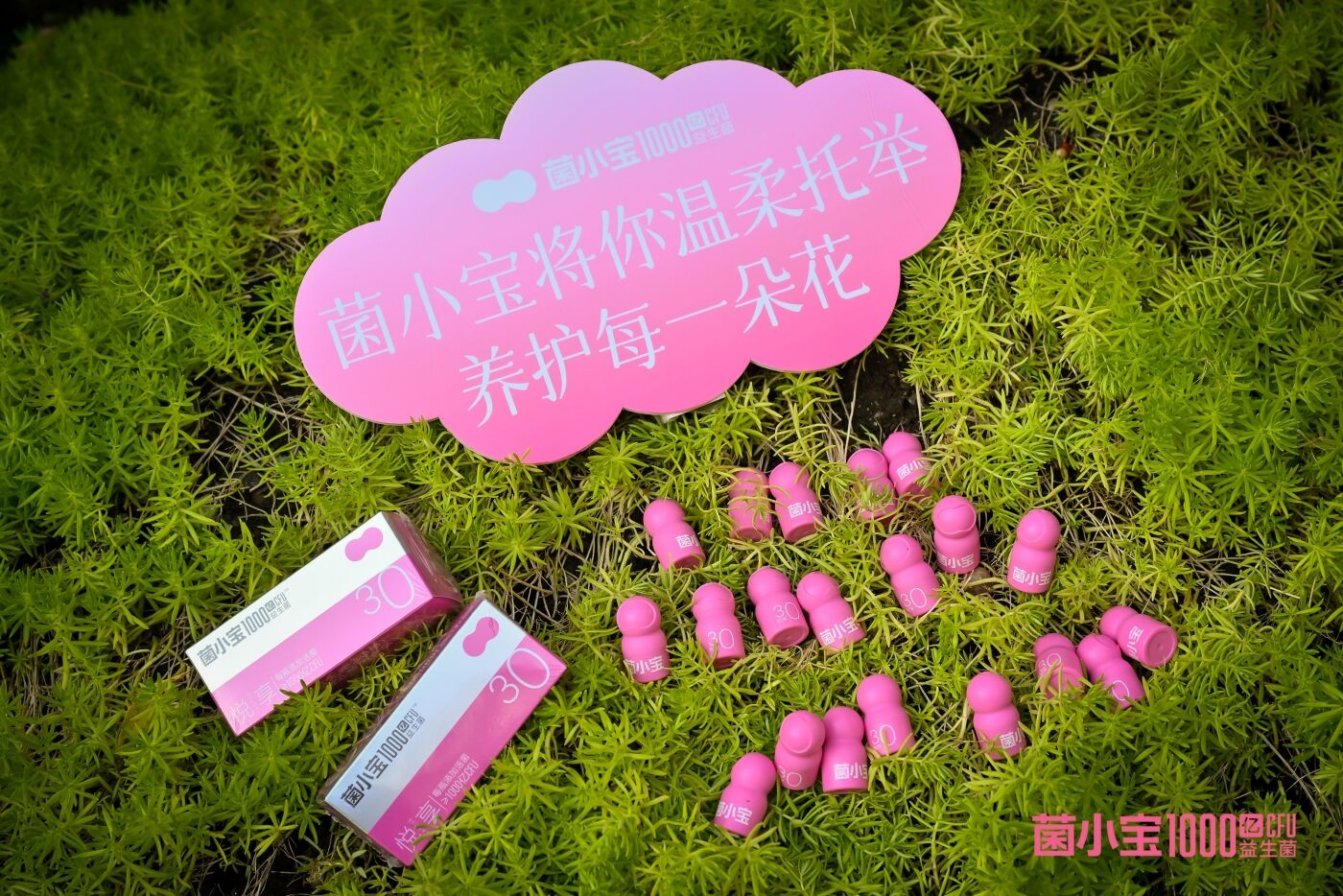 广告人干货库 菌小宝太空30号新品发布,用温柔托举每一朵花-广告人干货库
