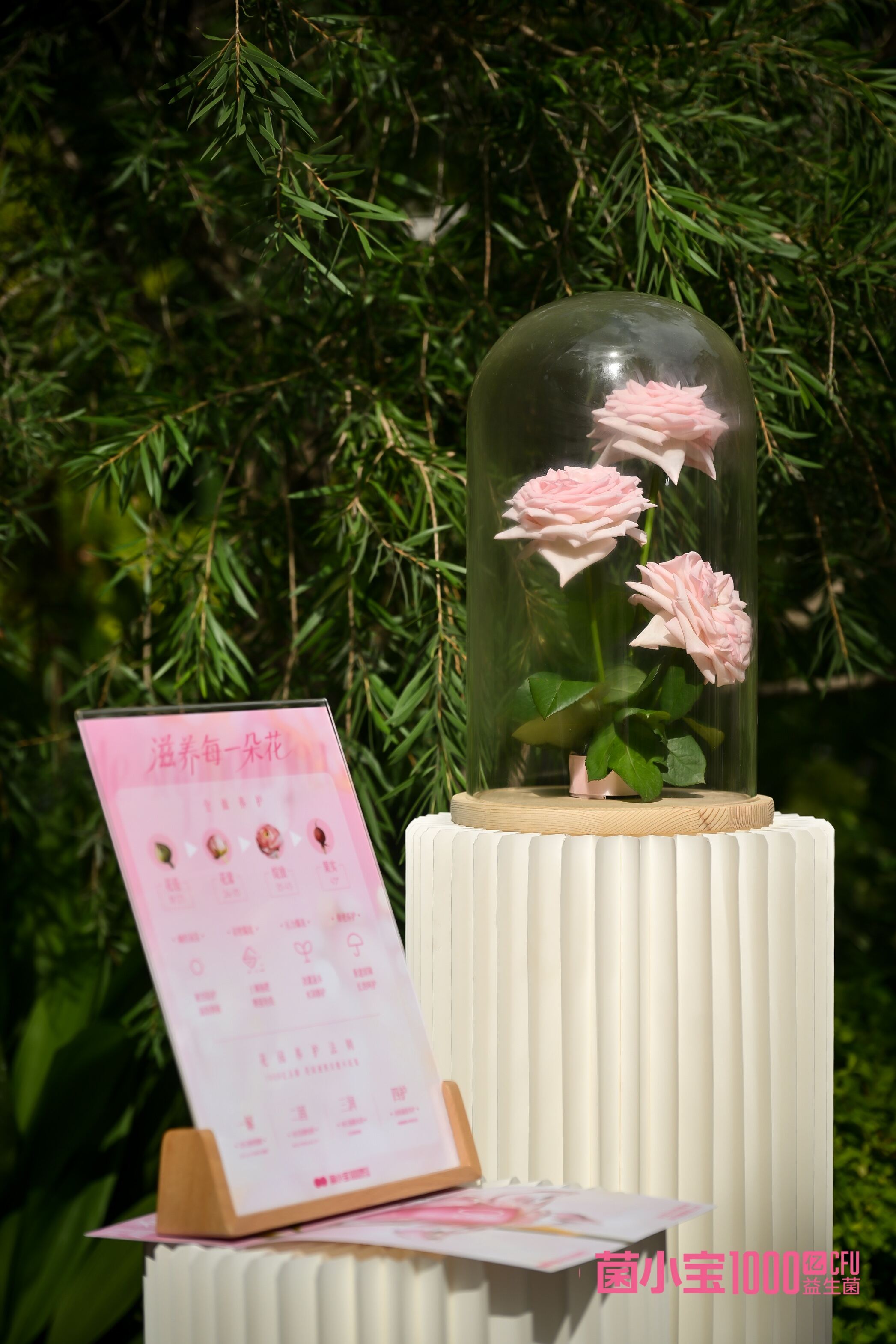 菌小宝太空30号新品发布，用温柔托举每一朵花-广告人干货库