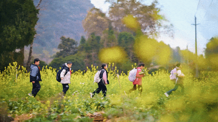 广告人干货库