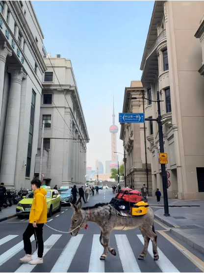 广告人干货库 北面徒步:硬要走狠路-广告人干货库