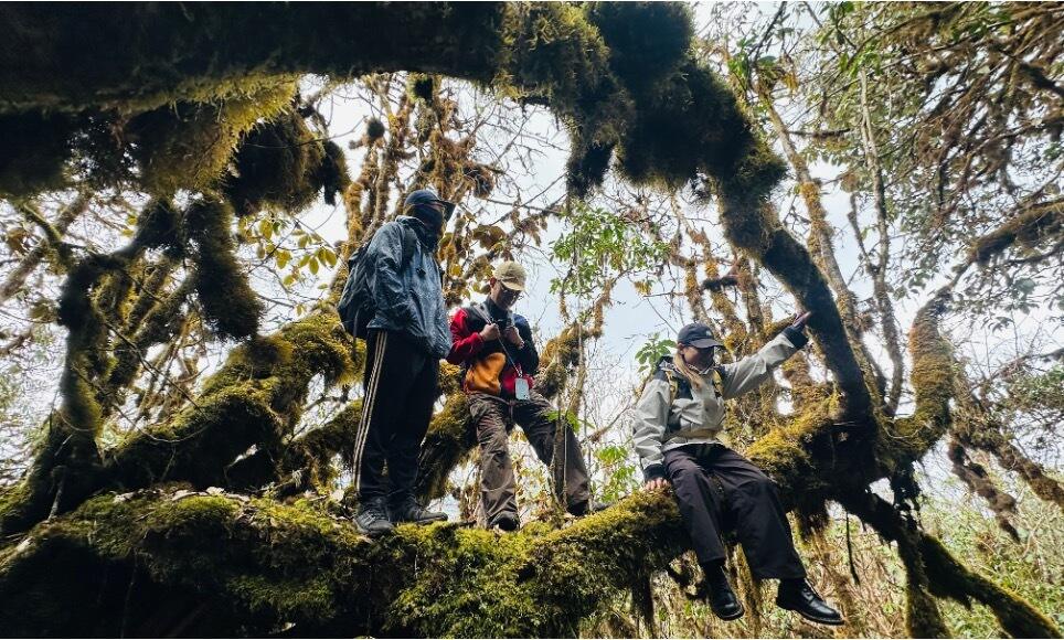 广告人干货库 北面徒步:硬要走狠路-广告人干货库