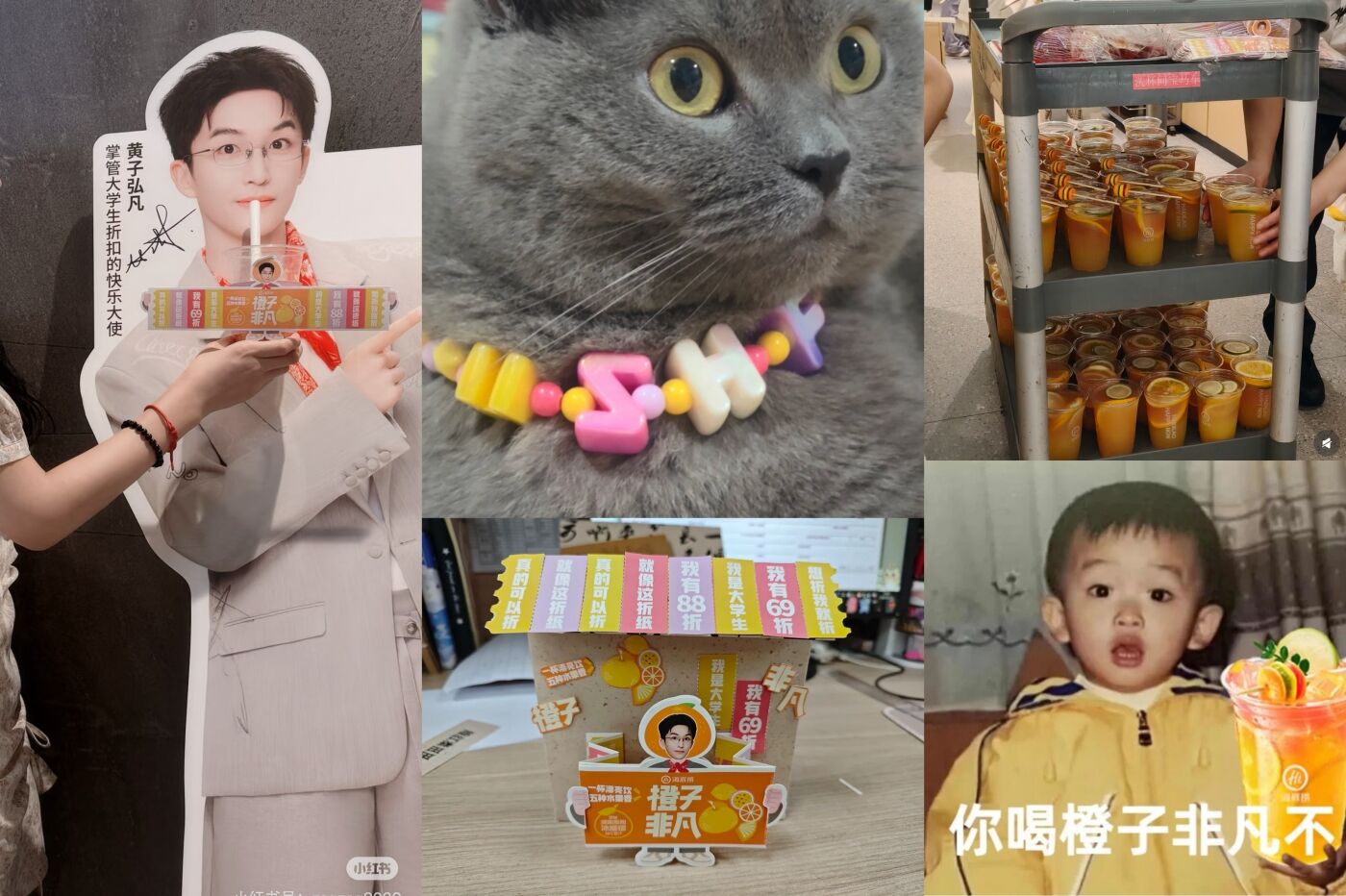 广告人干货库 海底捞项目实录:爬出Q2,并癫在Q3!-广告人干货库
