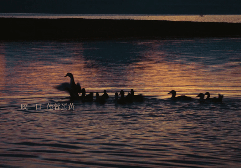 广告人干货库 沃尔玛「入口有回声」:一条听馋了的中秋广告-广告人干货库