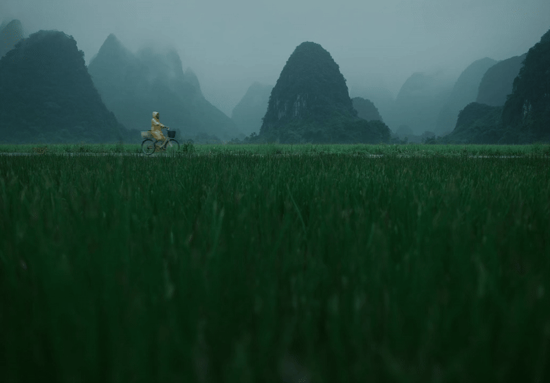 广告人干货库 沃尔玛「入口有回声」:一条听馋了的中秋广告-广告人干货库