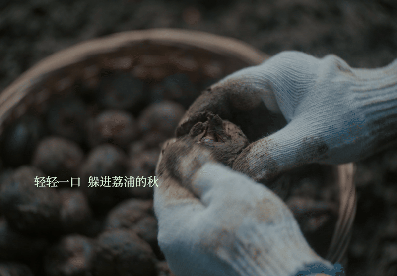 广告人干货库 沃尔玛「入口有回声」:一条听馋了的中秋广告-广告人干货库