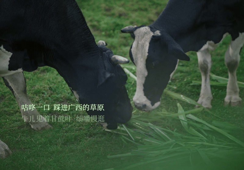 广告人干货库 沃尔玛「入口有回声」:一条听馋了的中秋广告-广告人干货库