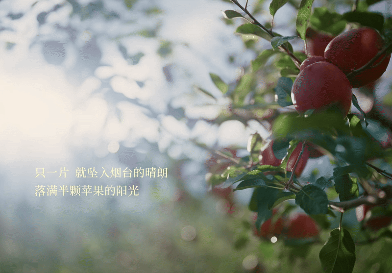 广告人干货库 沃尔玛「入口有回声」:一条听馋了的中秋广告-广告人干货库