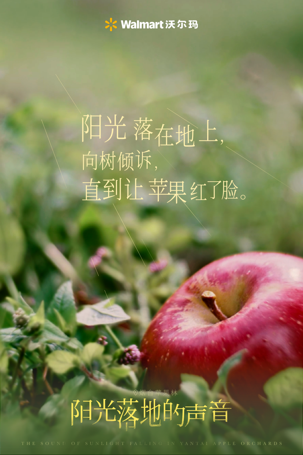 广告人干货库 沃尔玛「入口有回声」:一条听馋了的中秋广告-广告人干货库