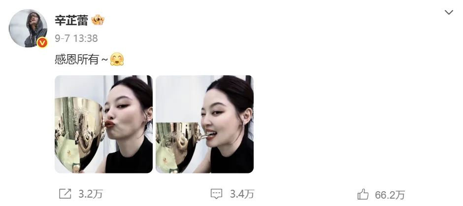 辛芷蕾封后香奈儿连发5条动态,企业如何借代言人显化品牌?-广告人干货库