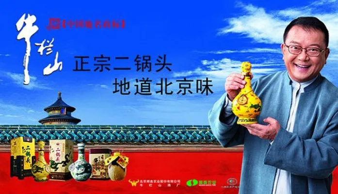 辛芷蕾封后香奈儿连发5条动态,企业如何借代言人显化品牌?-广告人干货库