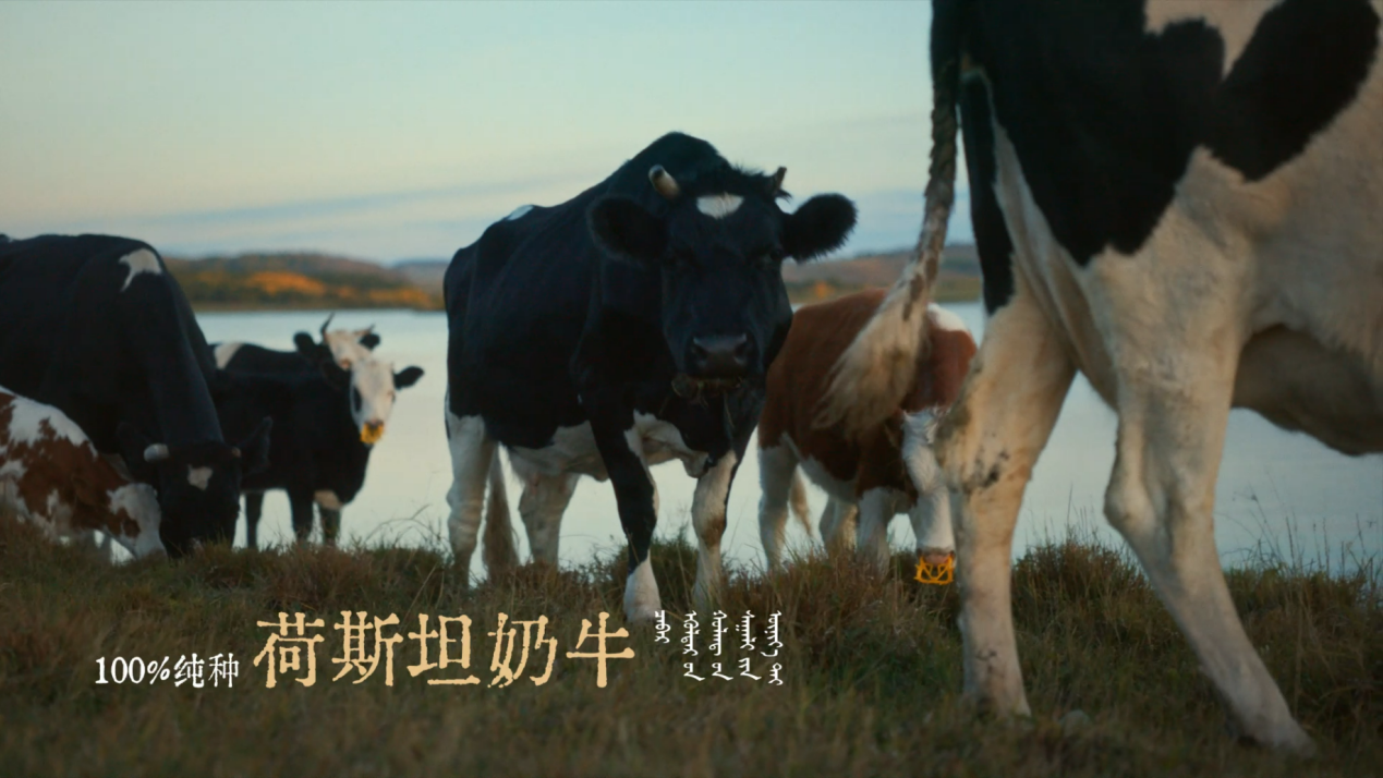 广告人干货库 伊利:用一支蒙语大片过中秋-广告人干货库