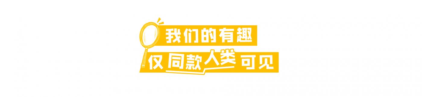 广告人干货库 2025搜狐视频秋季播主大会 : 对世界翻个白眼 , 对同好秒切笑脸-广告人干货库