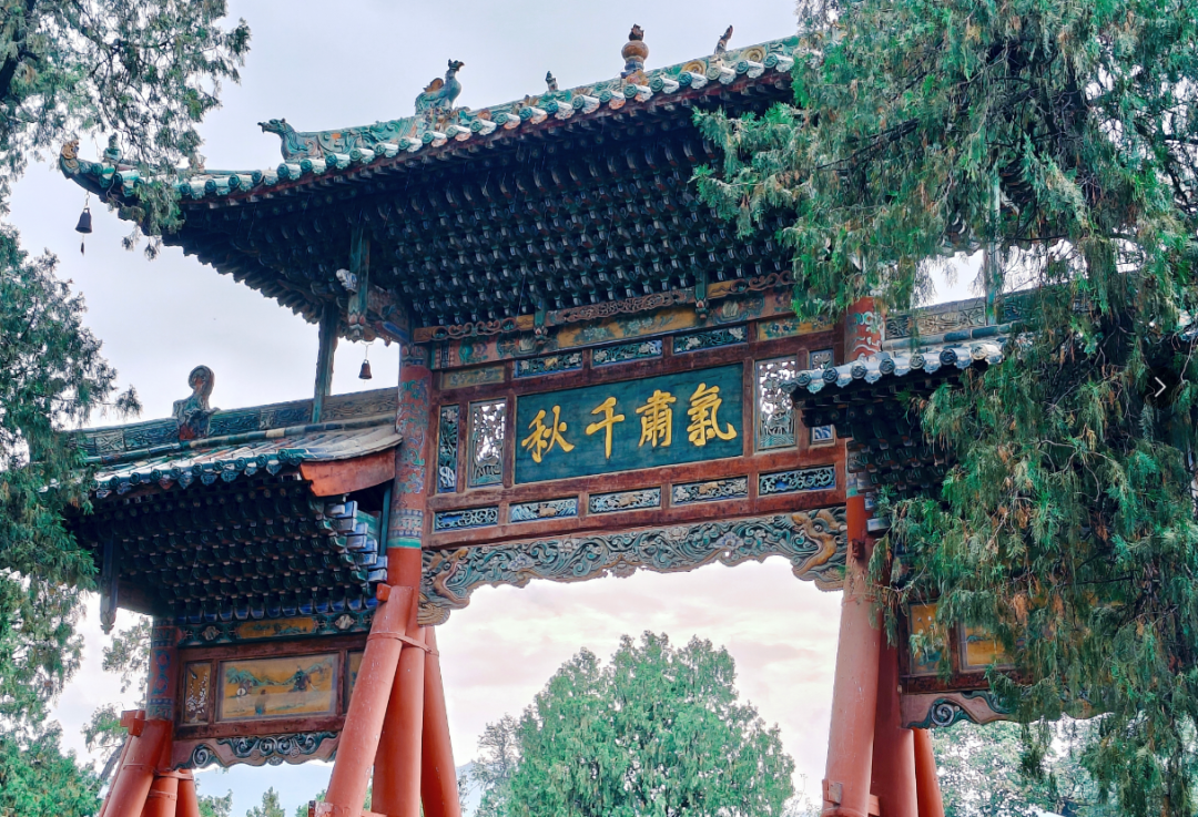 广告人干货库