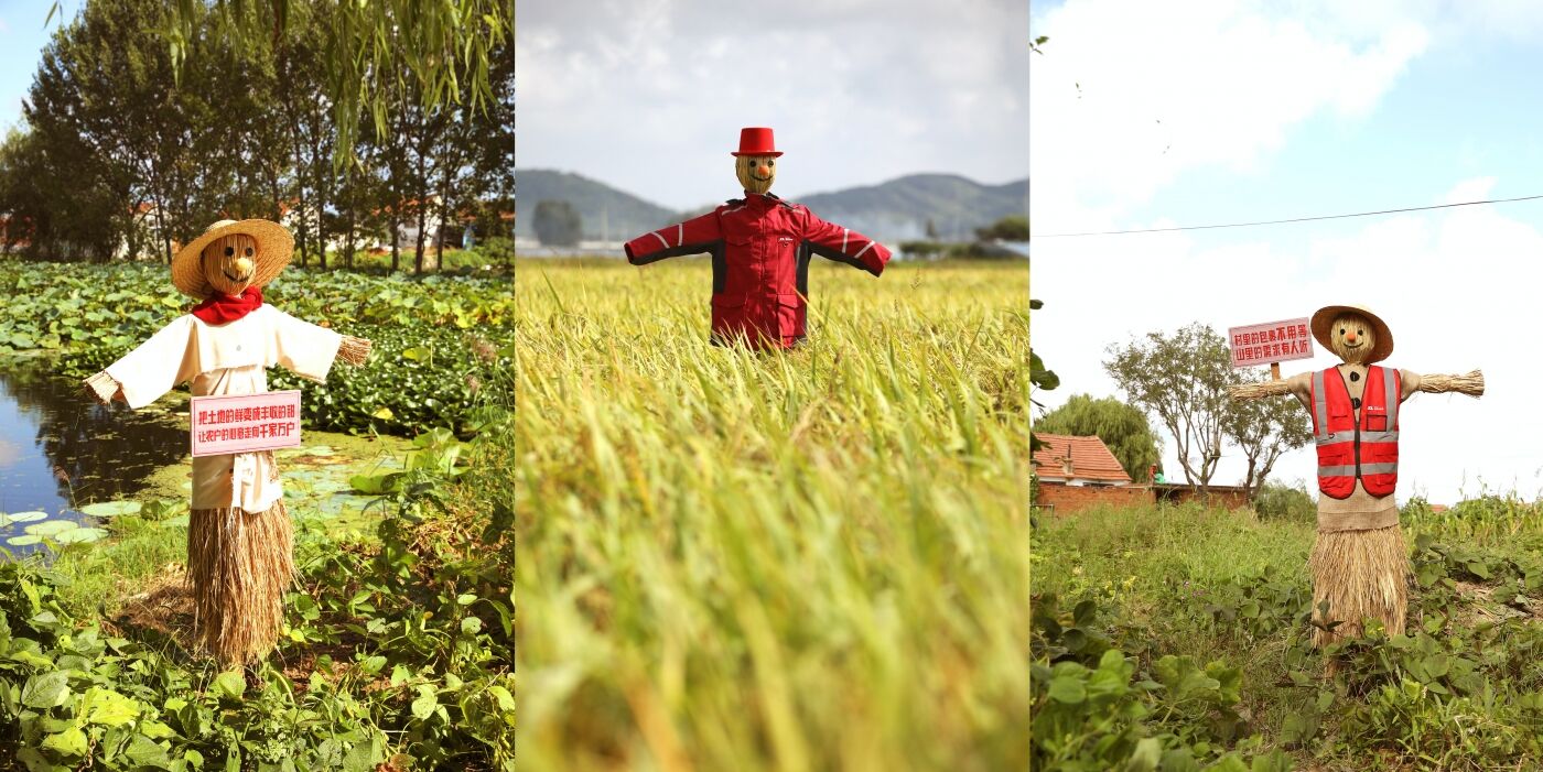 广告人干货库 京东快递丰收节:让稻草人当乡村代言人-广告人干货库