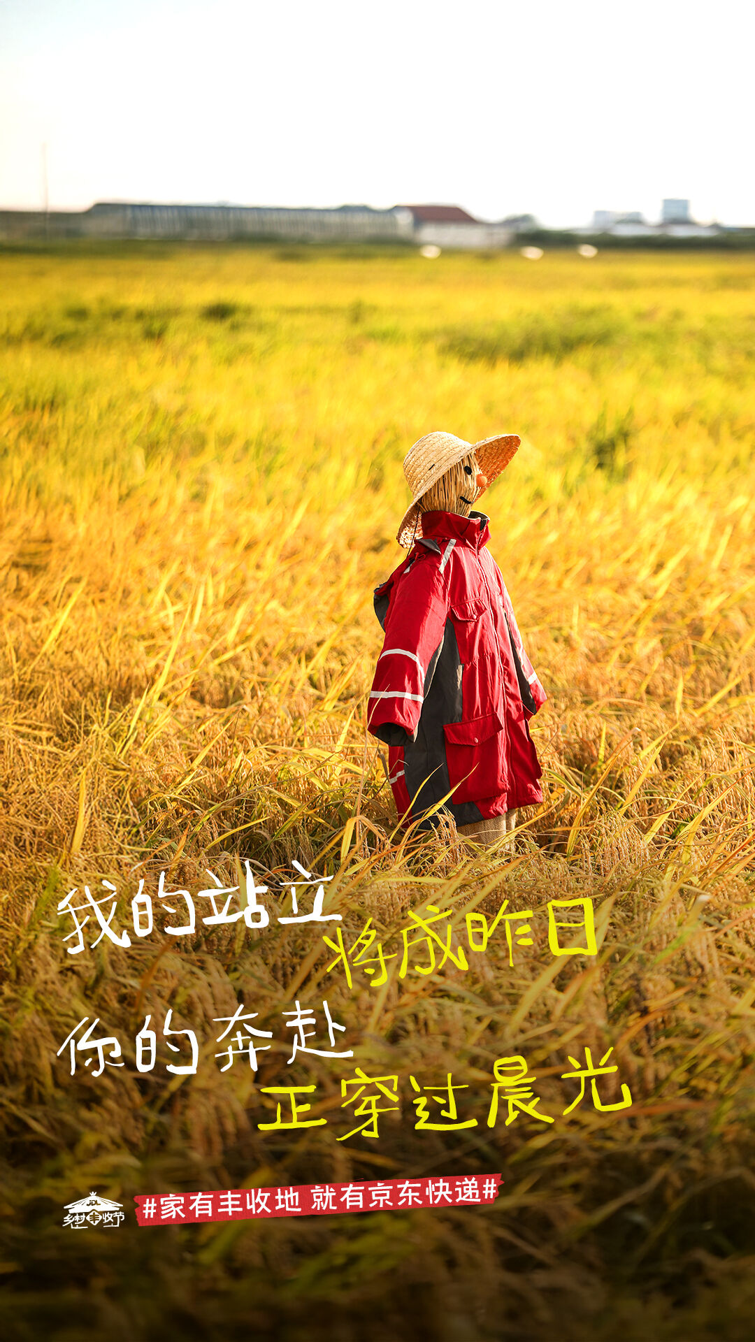广告人干货库 京东快递丰收节:让稻草人当乡村代言人-广告人干货库