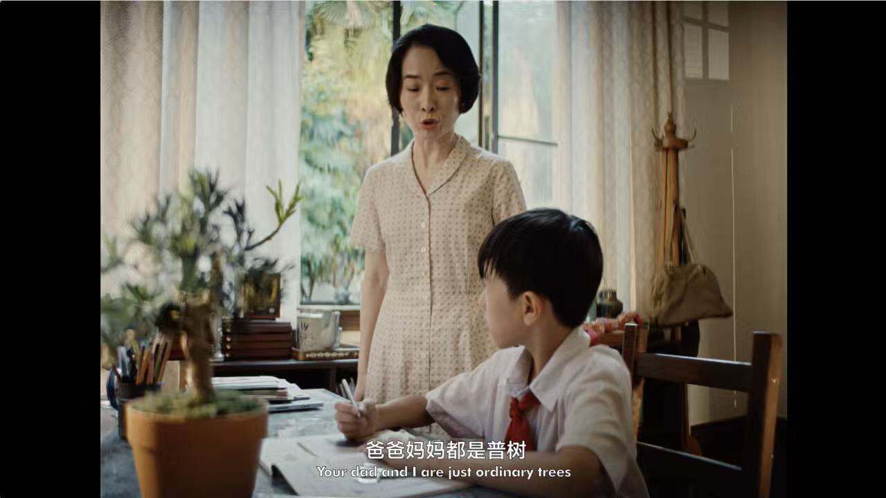 广告人干货库 可隆 X 胡歌:致每一棵“胡长的树”-广告人干货库