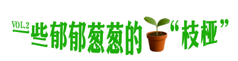 广告人干货库 可隆 X 胡歌:致每一棵“胡长的树”-广告人干货库