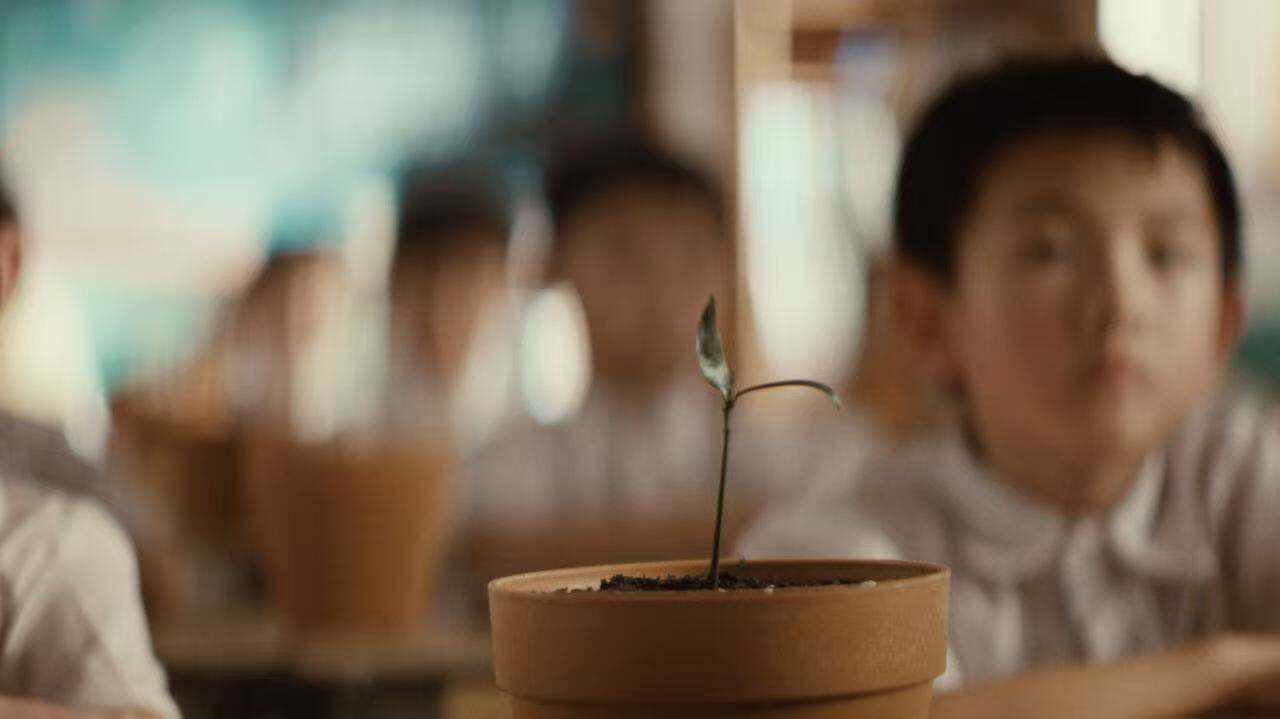广告人干货库 可隆 X 胡歌:致每一棵“胡长的树”-广告人干货库
