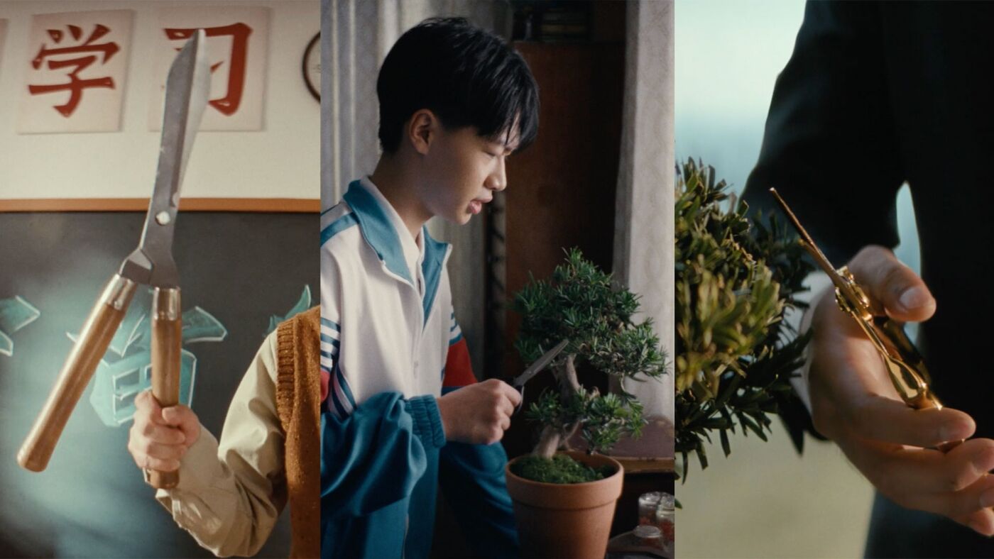 广告人干货库 可隆 X 胡歌:致每一棵“胡长的树”-广告人干货库
