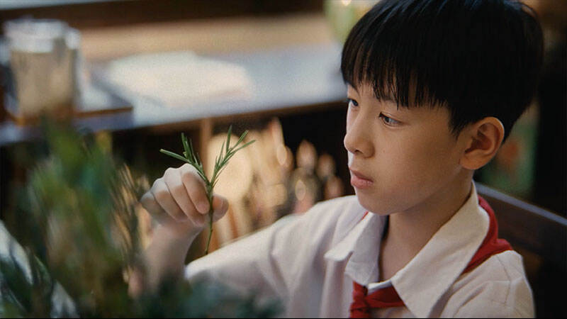 广告人干货库 可隆 X 胡歌:致每一棵“胡长的树”-广告人干货库