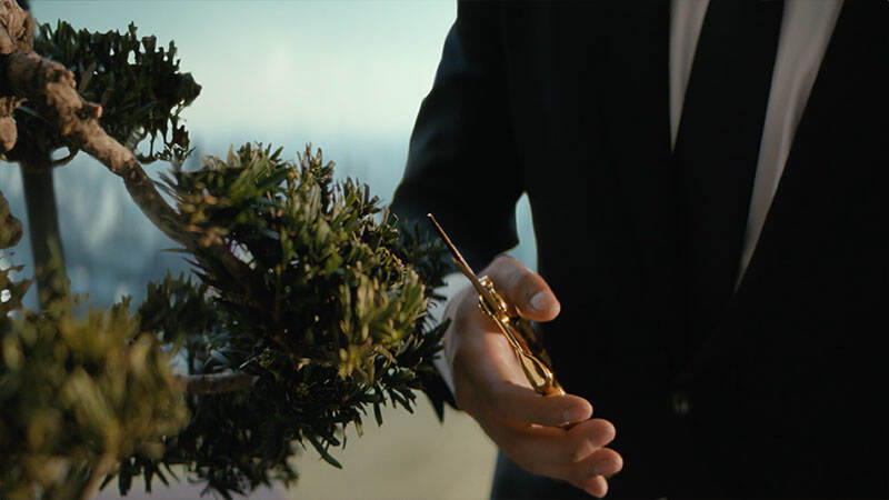 广告人干货库 可隆 X 胡歌:致每一棵“胡长的树”-广告人干货库