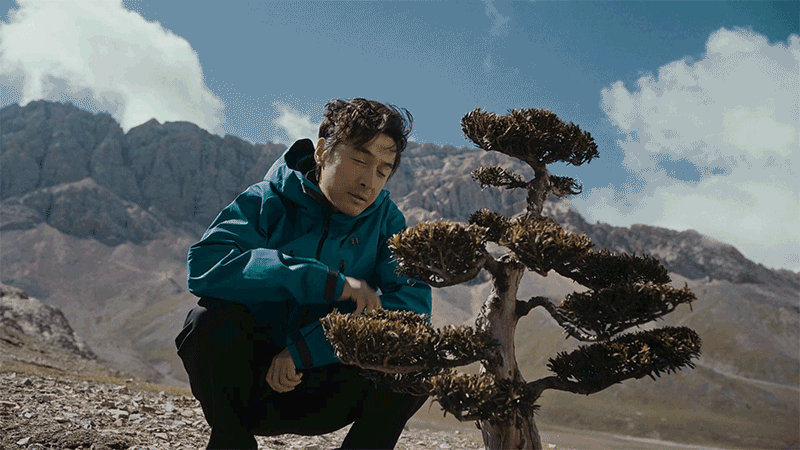 广告人干货库 可隆 X 胡歌:致每一棵“胡长的树”-广告人干货库