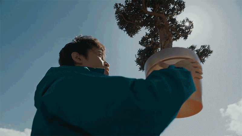 广告人干货库 可隆 X 胡歌:致每一棵“胡长的树”-广告人干货库