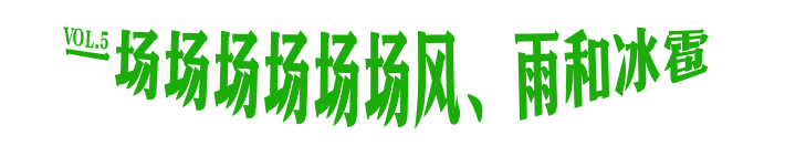 广告人干货库 可隆 X 胡歌:致每一棵“胡长的树”-广告人干货库