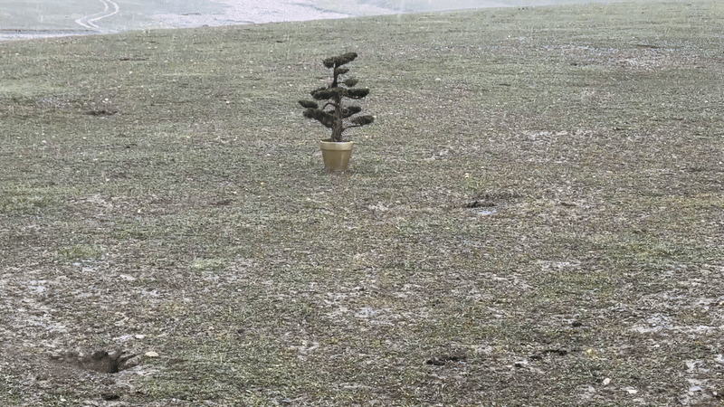 广告人干货库 可隆 X 胡歌:致每一棵“胡长的树”-广告人干货库