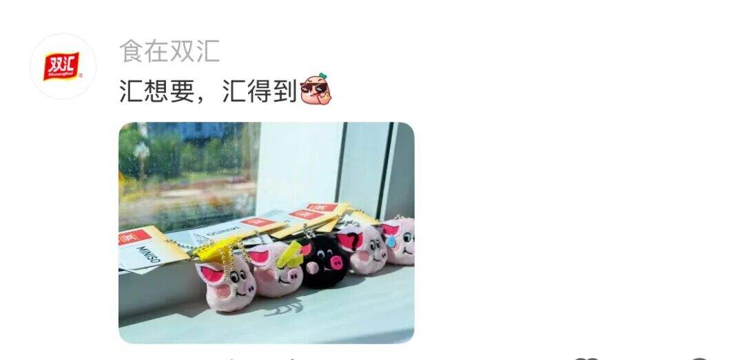 广告人干货库 双汇X名创优品联名?市场部简直太有梗了。。-广告人干货库