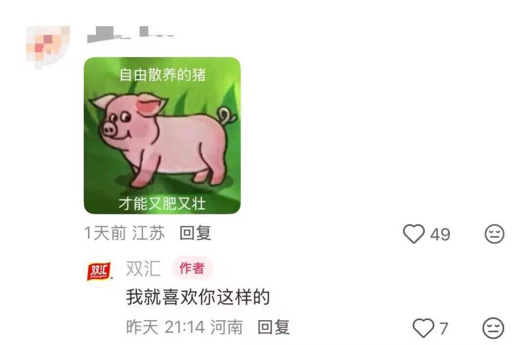 广告人干货库 双汇X名创优品联名?市场部简直太有梗了。。-广告人干货库