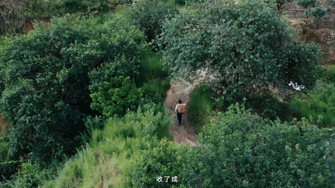 广告人干货库 抖音电商x苏童|丰收节 这份丰收请你签收-广告人干货库