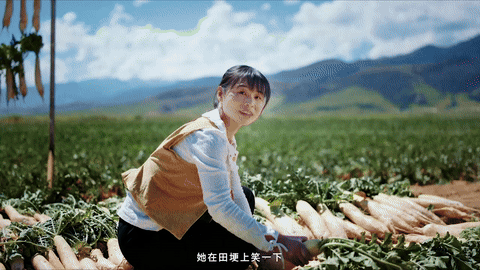 广告人干货库 抖音电商x苏童|丰收节 这份丰收请你签收-广告人干货库