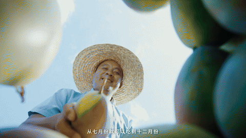 广告人干货库 抖音电商x苏童|丰收节 这份丰收请你签收-广告人干货库