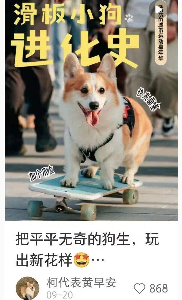 广告人干货库 FISE2025,从一个赛事变成一种公众可以理解的精神-广告人干货库
