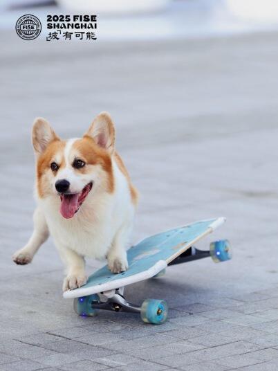 广告人干货库 FISE2025,从一个赛事变成一种公众可以理解的精神-广告人干货库