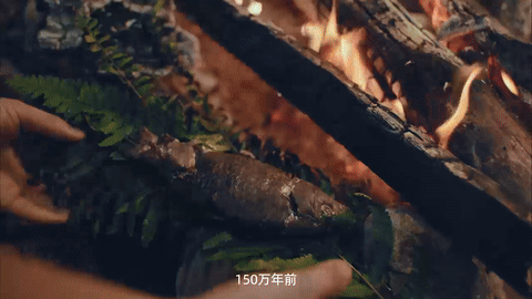 广告人干货库 百度19周年品牌宣传片|让知识轻松可及-广告人干货库