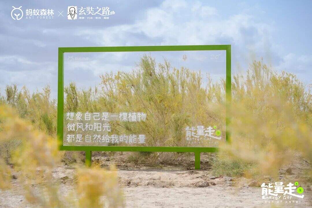 广告人干货库 蚂蚁森林九周年「能量走」:走出去,自然会有能量-广告人干货库