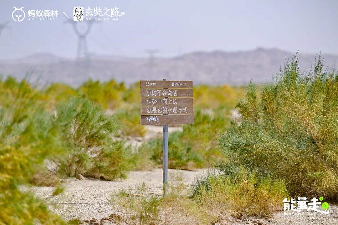 广告人干货库 蚂蚁森林九周年「能量走」:走出去,自然会有能量-广告人干货库