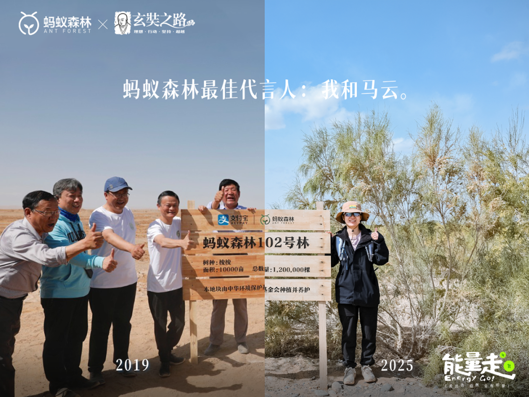 广告人干货库 蚂蚁森林九周年「能量走」:走出去,自然会有能量-广告人干货库