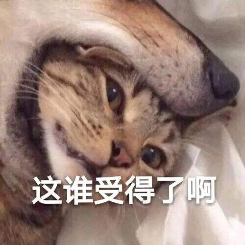 广告人干货库 有些ai广告,看起来是拿不正经素材喂出来的。。-广告人干货库