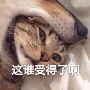 广告人干货库 有些ai广告,看起来是拿不正经素材喂出来的。。-广告人干货库